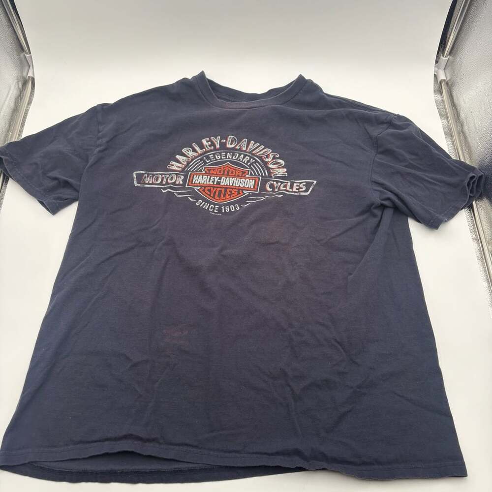 Harley-Davidson Grand Rapids Michigan T-Shirt Size XL Navy Blue Graphic